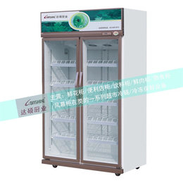 呼伦贝尔饮料冻柜-达硕保鲜设备制造-饮料冷冻柜供应商