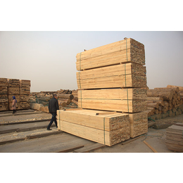 莱芜铁杉建筑木方-旺源木业有限公司-铁杉建筑木方加工厂家