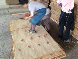 铁杉胶合板-泰安胶合板-恒顺达木材