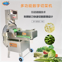 全自动切菜机器大型自动切段切片切丝的机器赣云150型切菜机