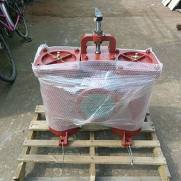 油分油机进口双联油滤器 双联粗油滤器