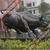 华尔街铜牛,怡轩阁雕塑,华尔街铜牛雕塑缩略图1