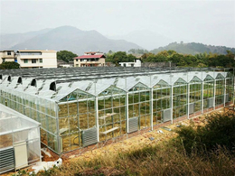 观光温室大棚-观光温室-青州瀚洋农业(查看)