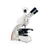 徕卡显微镜DM750生物显微镜缩略图4