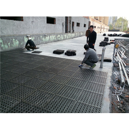 华翊建筑质量放心(图),车库塑料排水板,荆州排水板