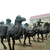 世隆雕塑公司-商人骑骆驼雕塑缩略图1