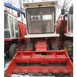 地滚刀式玉米秸秆青储机 全自动液压牧草粉碎收割机缩略图