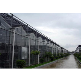 鑫华生态农业科技发展(图)|连栋温室|铜川温室