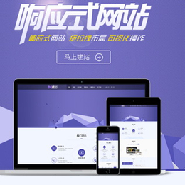 广州东联网络(图),外贸网站设计,黄埔网站设计