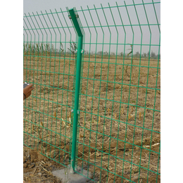 滨州围栏网-防护围栏网-果园铁丝围栏网价格