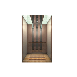 宁奥电梯(图)、乘客电梯高度、当涂乘客电梯
