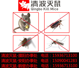 开发区灭蚂蚁-清波灭鼠公司-消灭蚂蚁有效的办法