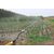 普洱大田灌溉设备、普洱大田灌溉设备厂家、润成节水灌溉缩略图1