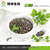 西安博林生物-绿茶提取物作用-绿茶提取物缩略图1