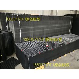 台州排水板生产厂家 仙居PVC排水板库存缩略图