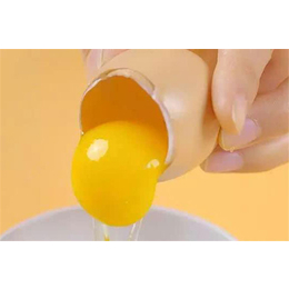新东方食品(图)-全蛋液批发-沈阳全蛋液