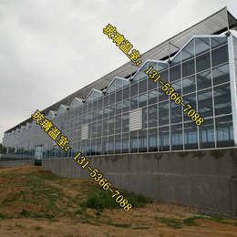 钢管大棚玻璃温室实用性、玻璃温室、金盟温室(图)