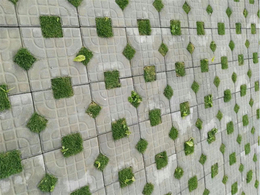 环保砖多少钱一块-玉林植草砖铺设-弘通建材