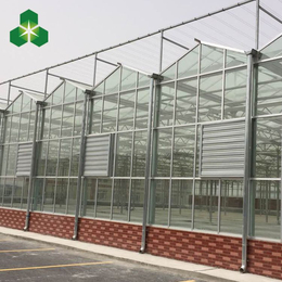 玻璃大棚 玻璃大棚工程 玻璃大棚园区规划 温室大棚