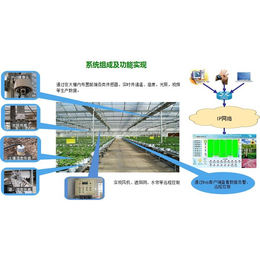 贵贵温室-黔西南智能温室施工-智能温室施工方案