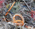 沙井电线电缆回收-北碚电线电缆回收-重庆锦蓝设备回收缩略图1