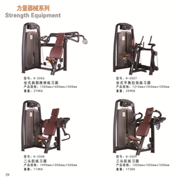 双豪尊健身房力量器械二头弯举椅坐姿胸*练习器缩略图