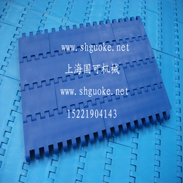 上海国可工厂*800平板型网带