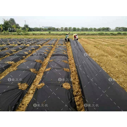 防草地膜价格-爱卫农(在线咨询)-日喀则地区防草地膜