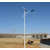 邯郸乡村照明6米60W LED太阳能路灯厂家 路灯维修配件缩略图2