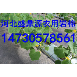 青海省科技新技术农业岩棉块培育蔬菜瓜果岩棉板农业岩棉块