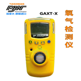 供应加拿大BW GAXT-X氧气检测仪