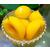 君果食品黄桃罐头(图)、黄桃罐头报告、芜湖黄桃罐头缩略图1