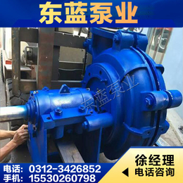 立式渣浆泵-东蓝泵业(在线咨询)-丽水渣浆泵
