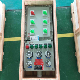 防水防尘电器控制柜仪表接线端子盒铝合金电箱隔爆缩略图