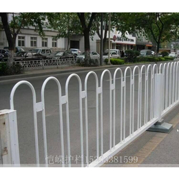 安平恺嵘社区别墅围栏  公园草坪护栏   市政交通护栏缩略图