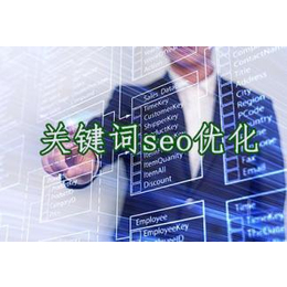 青岛中小企业网络形象优化推广-青菏网络