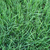 南京绿化边坡防护护坡植物纤维毯植生毯缩略图1