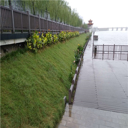 永州供应环保材料公路护坡绿化环保草毯