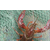 室内龙虾养殖、天门龙虾养殖、武汉农科大高科技(查看)缩略图1