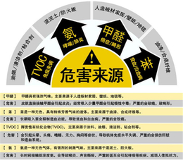 正规除甲醛公司-瑞克害虫防治(在线咨询)-广州除甲醛公司