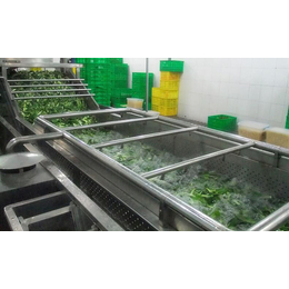 绿豆芽清洗流水线的选购,诸城市诺尔食品机械