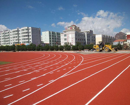 安徽国优塑胶跑道(图)-塑胶跑道材料-滁州塑胶跑道