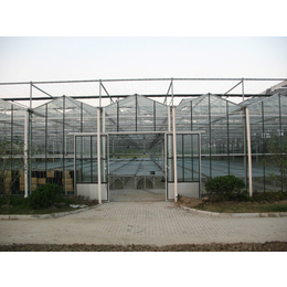 安徽温室大棚|合肥建野温室大棚(图)|温室大棚建设厂家