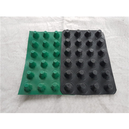 2公分塑料滤水板-唐能工程-2公分塑料滤水板厂家