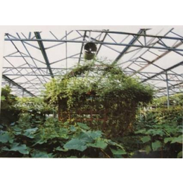 草莓无土栽培种植槽价格|种植槽|寿光市泰宇农业机械(查看)
