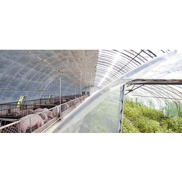 牡丹江农业智能温室|农业智能温室报价|安阳盛丰温室工程