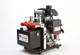 雷沃科技(图)-液压机动泵图片-液压机动泵