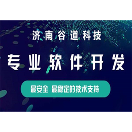 河北*双轨制软件 *软件开发公司