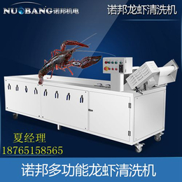诺邦NK-220供应气泡龙虾洗机 超声波小龙虾臭氧清洗机