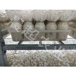 河北晨超(在线咨询)-萍乡固定层架出菇架-固定层架出菇架材质